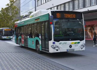 V Ljubljani bodo avtobusi brezplačni: Preverite podrobnosti Brezplačni LPP