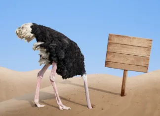 Mit o noju, ki zakoplje glavo v pesek scared ostrich burying head in sand near standing blank wooden signboard
