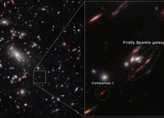Slovenski raziskovalci navdušili svet astronomije: Odkrivajo skrivnosti zgodnjega vesolja Firefly