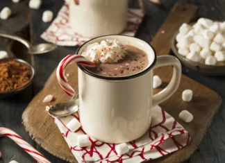 Recept za najboljšo domačo vročo čokolado! Homemade Peppermint Hot Chocolate with Whipped Cream