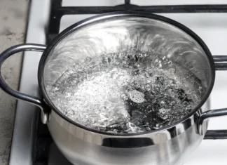 Kuhamo jih žive, bo nova raziskava potrdila človeško zmoto? Water boils in a stainless steel pan on a gas stove. Boiling water surface.