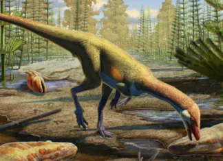 Zgodovinska najdba dinozavra, ki je na glavo obrnil vse, kar smo vedeli o njihovi evoluciji Najstarejši dinozaver s severne poloble