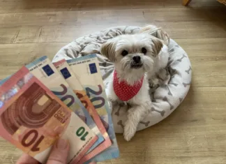 Davek na pse, ja ali ne? Ministrstvo je odločilo Dog with Money