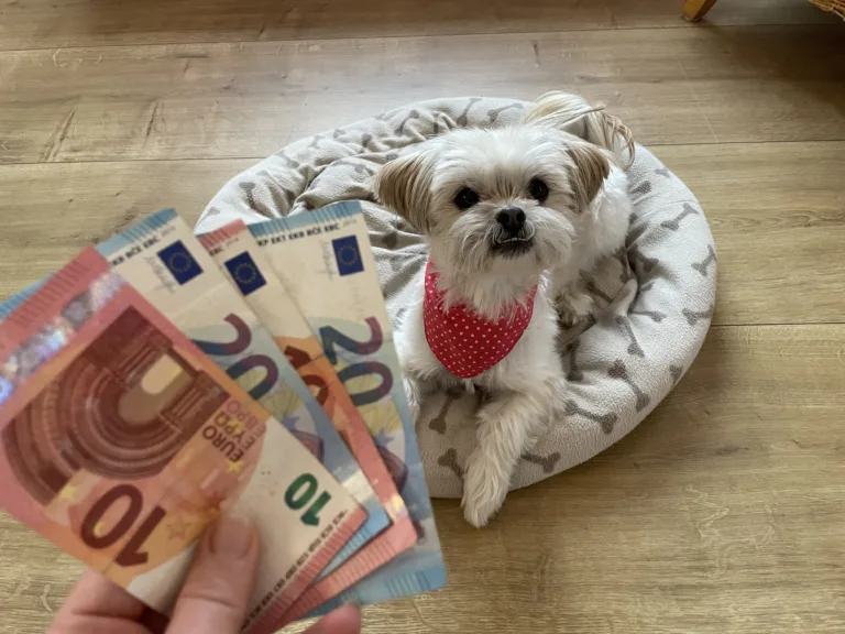 Davek na pse, ja ali ne? Ministrstvo je odločilo