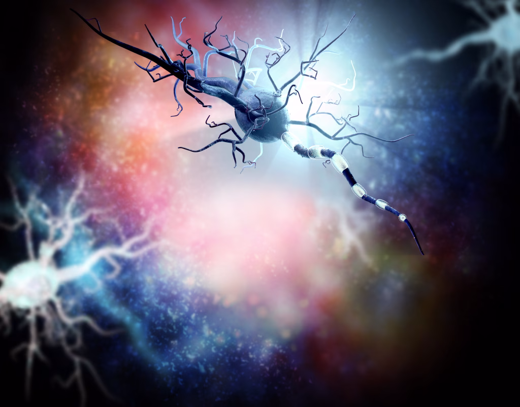 3d illustration of nerve cells. Affected Human nervous system, concept for Neurological Diseases, tumors and brain surgery.