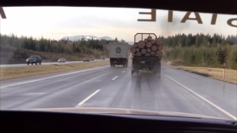 Brez povratka: Zakaj se cela generacija boji vožnje za tovornjakom s hlodi?