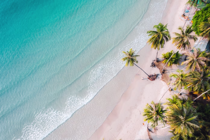 beach-and-coconut-trees-on-a-calm-island-in-the-morning-aerial-view-stockpack-istock Beach and coconut trees on a calm island in the morning, aerial view