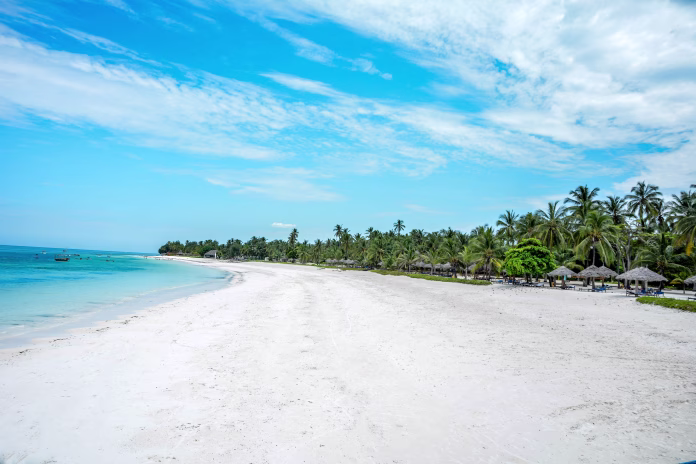 Beautiful beach with palms and turquoise sea