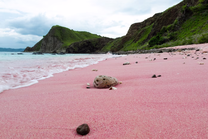 Closeup of the beautiful pink sand and turquoise ocean on Pink Beach in the Komodo National Park in Flores, Indonesia
