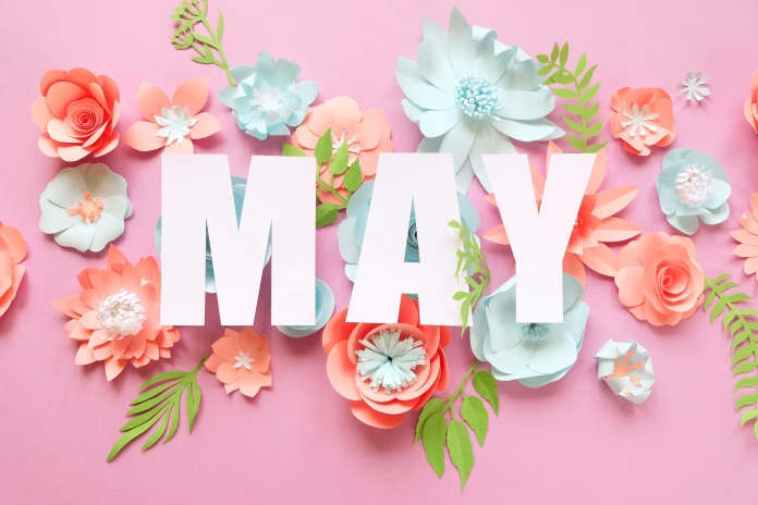 The lettering may, made of paper flowers. Hello, may. Concept of flowering, spring on pink background
