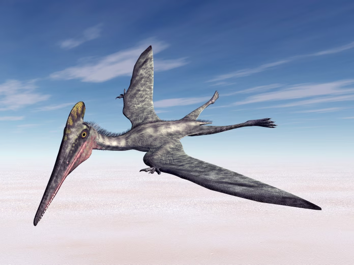 Computer generated 3D illustration with the pterosaur Pterodactylus