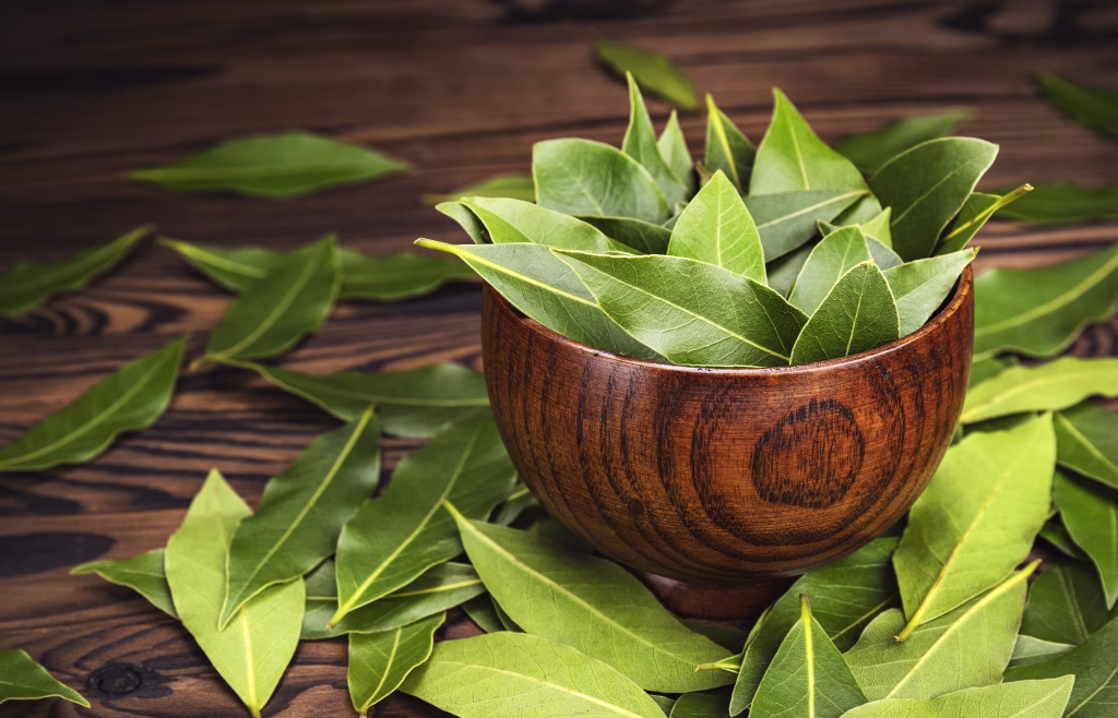 Bay leaves in wooden bowl with copy space