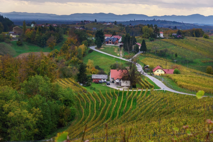 beautiful-vineyards-landscape-of-jeruzalem-on-slovene-hills-in-ljutomer-northeastern-slovenia-stockpack-istock Beautiful vineyards landscape of Jeruzalem on Slovene Hills in Ljutomer. Northeastern Slovenia