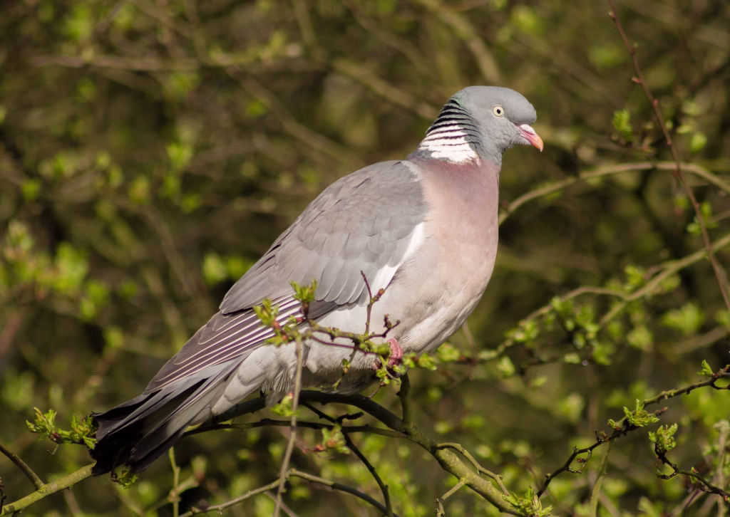Photo taken in Stoke-On-Trent, United Kingdom