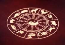 Najbolj kompatibilni ljudje za tiste, ki so po kitajskem horoskopu bivoli Chinese lunar zodiac, happy chinese new year, gold chinese lunar symbols on wooden background