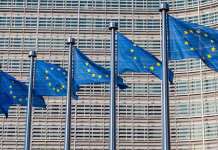 Odprle so se prijave za Svet mladih EUSDR European Union flags in a row outside the European Commission building in Brussels, Belgium. Close up