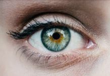 Nevaren in bizaren trend v Sloveniji: zaradi »solarne joge« vse več ljudi z nepovratnimi poškodbami vida Extreme Close-Up Of Human Eye