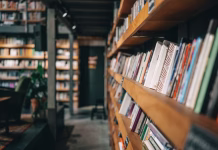 Ali lahko Slovenija ukine davek na knjige, kot je to storila Danska? Library bookshelf: colorful spines, warm wood, neatly organized. Perfect for calm reflection and study