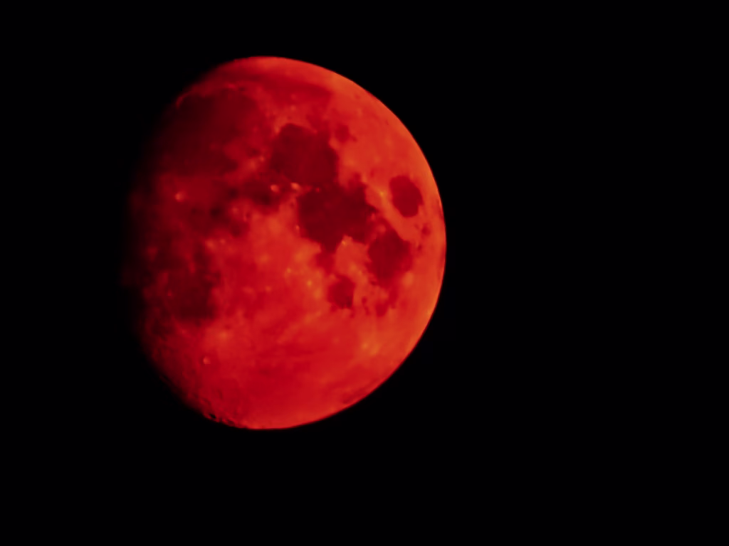 Bloody Moon