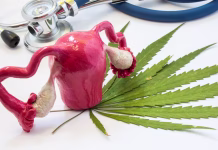 Kemikalije v konoplji lahko vplivajo na plodnost žensk Cannabis and uterus with ovaries. Marijuana and pregnancy. Influence (positive and negative) of smoking marijuana on women uterus and ovaries, reproductive system, diseases of organs of reproduction