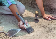V Izraelu odkrili 1600 let staro samarijansko naselbino Professional Archaeological excavations, archaeologists work, dig up an ancient clay artifact with special tools in soil