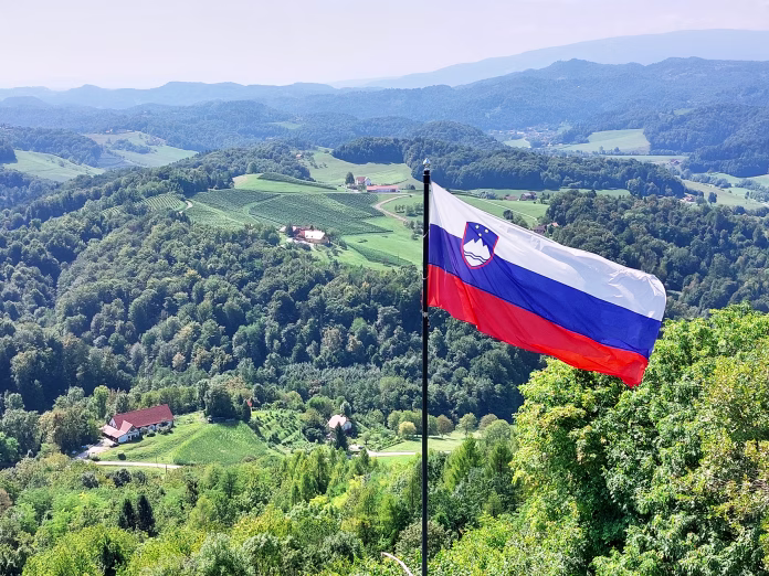 tall flag of Slovenia and green landscape. Hills and vineyards
