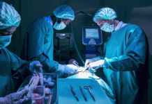 Po šestih mesecih še vedno živi s prašičjo ledvico Team of surgeon doctors are performing heart surgery operation for patient from organ donor to save more life in the emergency surgical room