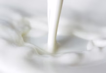 Kaj je kazein v mleku in zakaj povzroča toliko težav? Close-up of fresh pouring milk