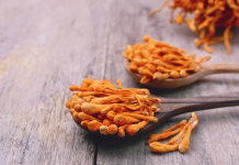 Cordyceps militaris: Ali čudežna goba za izboljšanje športne zmogljivosti deluje? dried cordyceps militaris mushroom on wooden spoon.