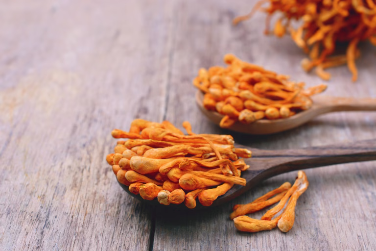 Cordyceps militaris: Ali čudežna goba za izboljšanje športne zmogljivosti deluje?