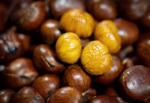 Zdravilni učinki kostanja: zakaj ga je vredno vključiti v prehrano? Freshly roasted chestnuts served hot at a street food stall, showcasing a traditional snack popular in local and outdoor markets.