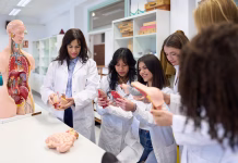 Zakaj vse več študentov medicine odhaja v Bolgarijo? Group of diverse female medical students examining anatomical models during anatomy class in university laboratory