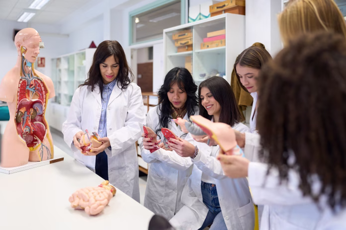group-of-diverse-female-medical-students-examining-anatomical-models-during-anatomy-class-in-university-laboratory-stockpack-istock Group of diverse female medical students examining anatomical models during anatomy class in university laboratory