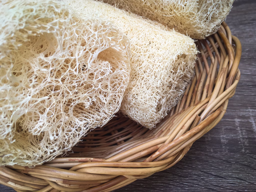 luffah loofah in rattan tray, vegetable sponge for clean and scrub your skin