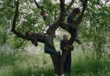 Ocena filma: Veter, govori mi (36. LIFFe) Veteri, govori mi