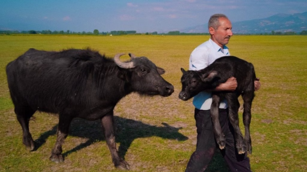 Nagradni natečaj Hiawei Xmage 2025