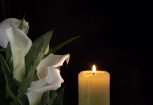 Umrl je Nobelovec, ki je odkril DNK in razdelil znanost Close-up view of a single burning wax candle next to white calla lily flower with a green stem and leaves, contemplative and serene atmosphere, suggesting themes of remembrance, reflection and hope