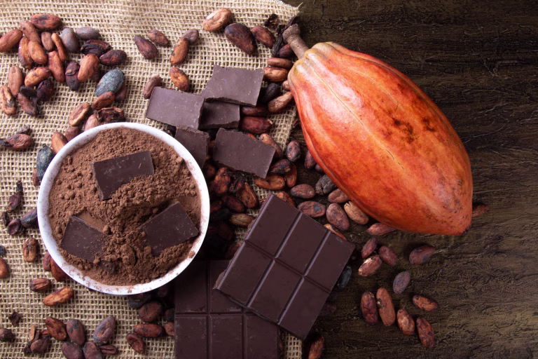 Detail of cocoa fruit with pieces of chocolate and cocoa powder on raw cocoa beans.