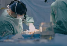 Znanstveniki dosegli pomemben preboj pri presaditvah prašičjih organov Group of surgeons men doctors physicians in medical masks process surgical operation trauma health treatment medicine aid plastic surgery with scalpel saving life patient in operating clinic hospital. High quality 4k footage