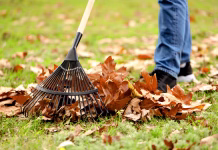 8 jesenskih opravil za okolju prijaznejše življenje pometanje odpadlih listov