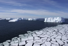 Ali lahko morje zamrzne? Ross Sea, Antarctica - Aerial View with Pack Ice and Icebergs, Eco Tourism
