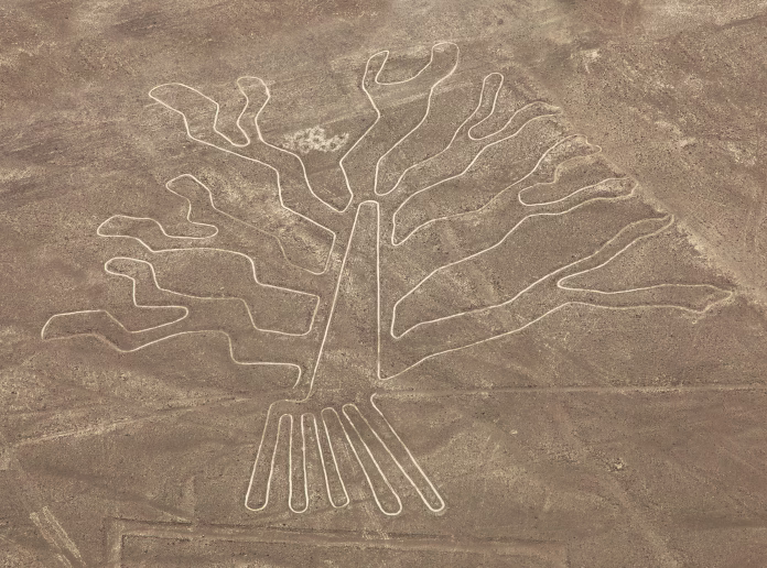 Tree geoglyph, Nazca mysterious lines and geoglyphs aerial view, landmark in Peru