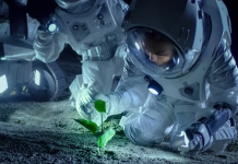 Rastline v vesolju? Z novim odkritjem vse bližje Two Astronauts on the Alien Planet Discover Plant Life. Space Travel, Discovery Of Habitable Worlds and Colonization Concept.