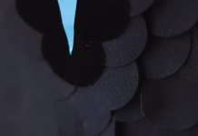 Ustvarjena najtemnejša tkanina do zdaj, tu je »ultrablack« volna Najbolj črna tkanina na svetu