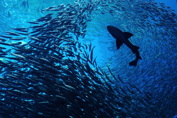 photo-taken-in-sendai-shi-japan-stockpack-istock Photo taken in Sendai-Shi, Japan