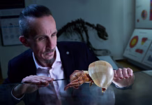 Dr. Rok Gašparič prvi Slovenec, ki je prejel mednarodno priznanje Mary Anning Medal za svoje znanstveno delo na področju paleontologije dr. Rok Gašparič