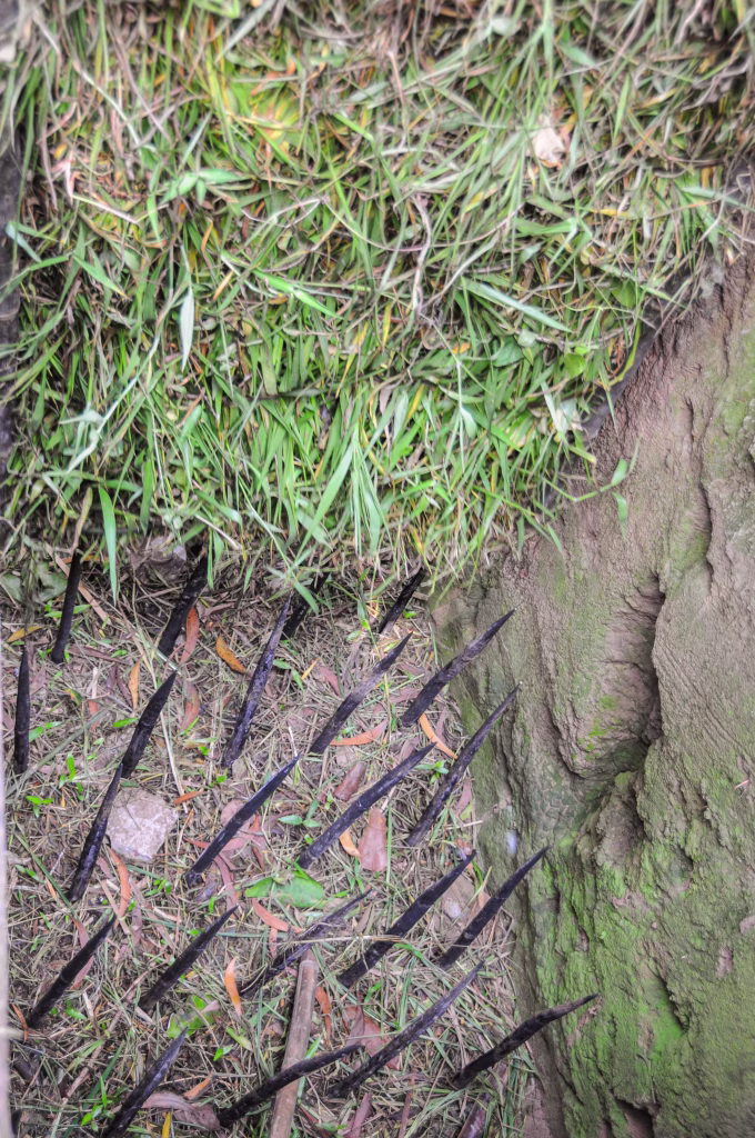 Example of a lethal booby trap laid by Viet Cong in the Cu Chi Tunnels area