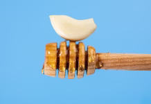 Naravna kombinacija, ki je preživela stoletja: tudi vam lahko pomaga Fermented garlic cloves honey, a rich source of probiotics, blue background