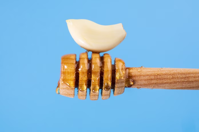 Fermented garlic cloves honey, a rich source of probiotics, blue background