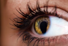 Črna ni več edina izbira: zakaj je rjava nova lepotna favoritinja? EYE, LASHES, MASCARA, BROWN